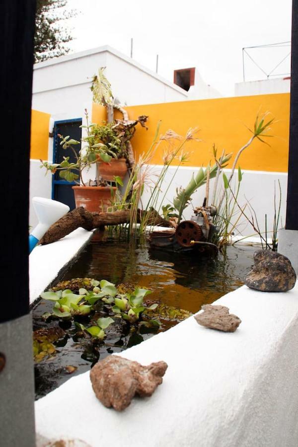 Pura Vida Casa Del Mar Villa เบรญาบาฆา ภายนอก รูปภาพ